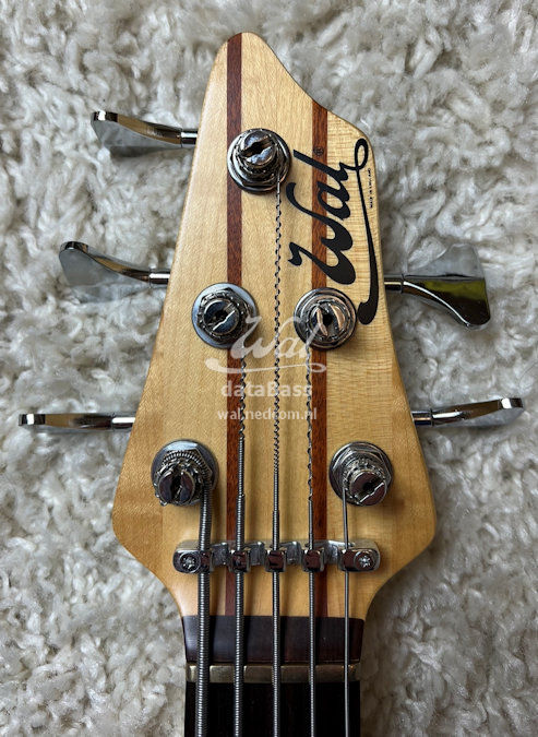 W120702.4 Headstock.jpg